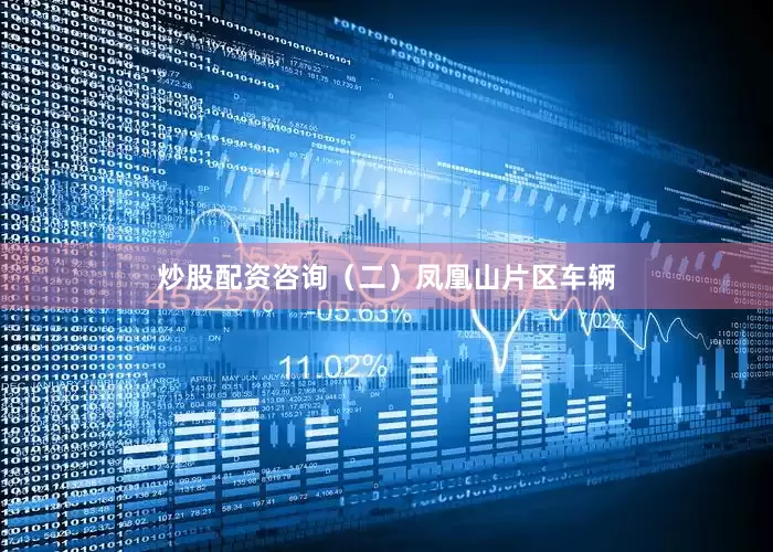 炒股配资咨询（二）凤凰山片区车辆