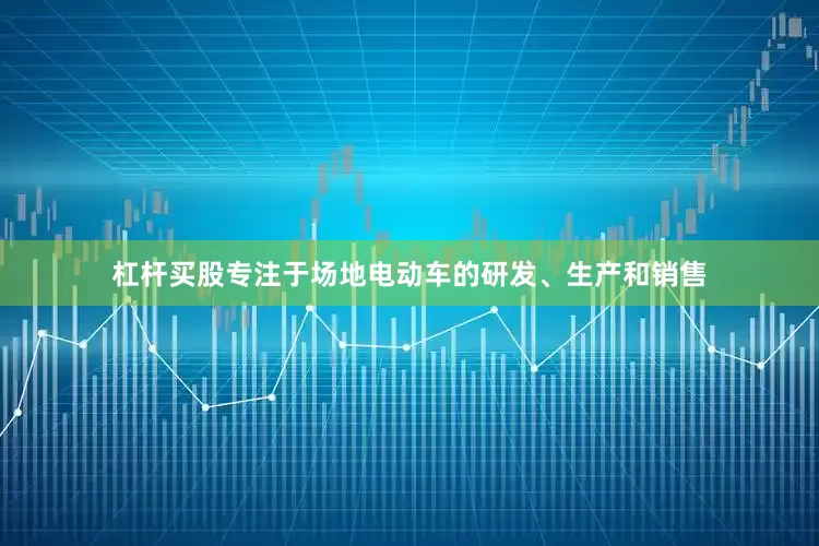 杠杆买股专注于场地电动车的研发、生产和销售